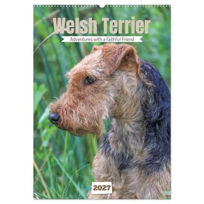 Welsh Terrier - Adventures with a Faithful Friend (Wall Calendar 2027 DIN A2 portrait), CALVENDO 12 Month Wall Calendar