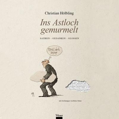 Ins Astloch gemurmelt - Christian Hölbling, Download, 9783990294437