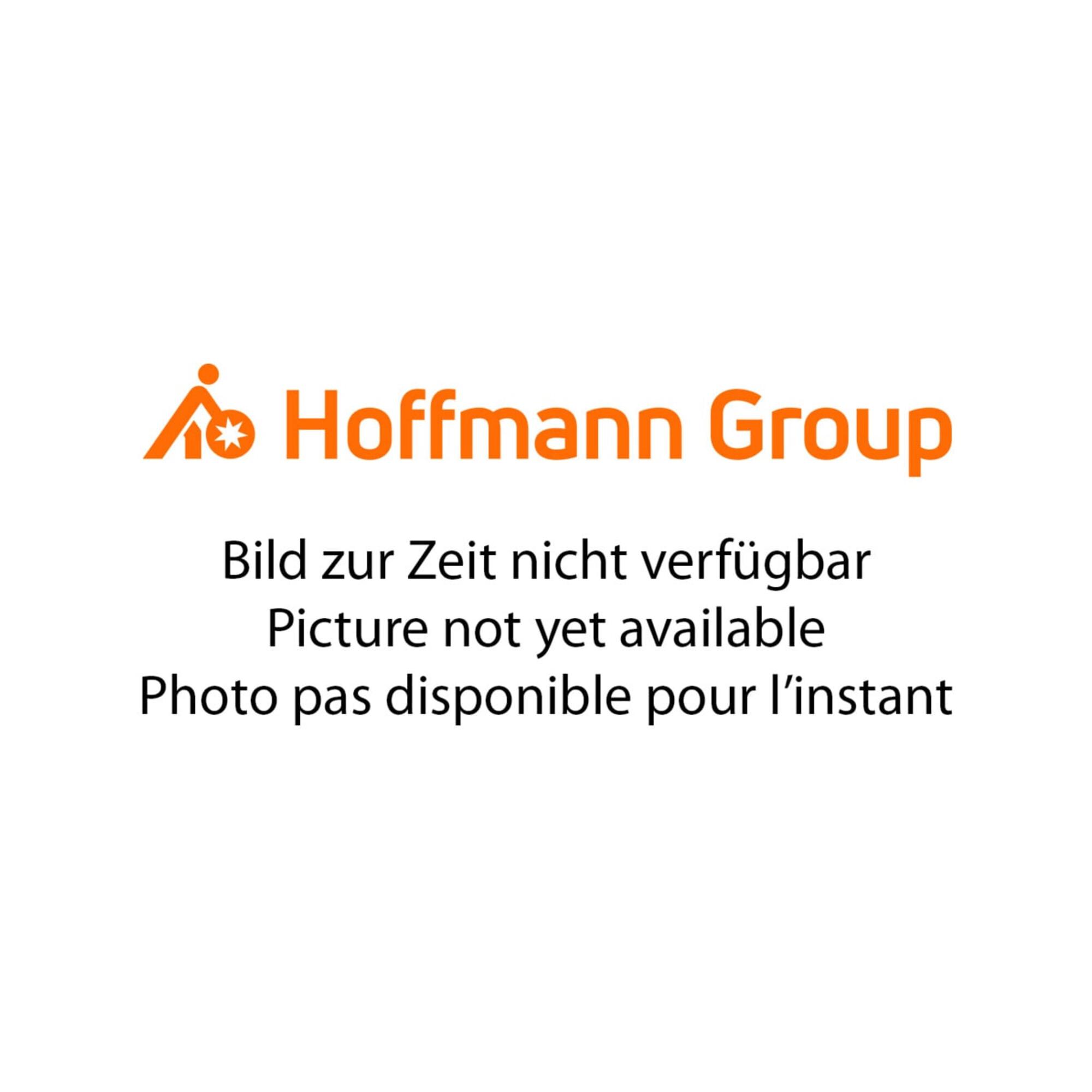 HOLEX LED Taschenlampe mit Akku, Typ: 150 (081363 150)
