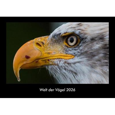 Welt der Vögel 2026 Fotokalender DIN A3