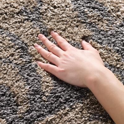 SAFAVIEH Florida Shag Hilde Floral 1.2-inch Thick Rug
