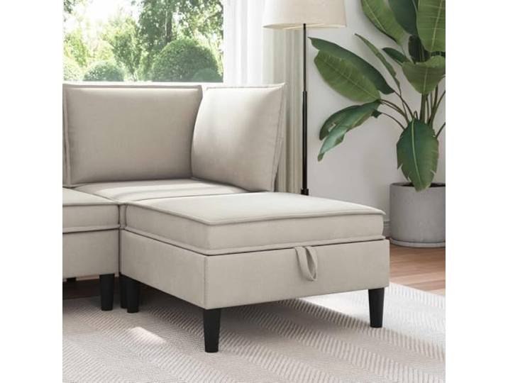 ZQQLVOO Sofa-Hocker mit Stauraum Hafer Samt Verstecktes Staufach, Hochdichter Schaum, Moderne Schlanke Beine, Pflegeleicht