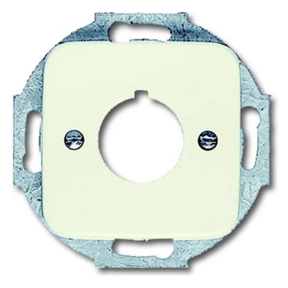 Busch-Jaeger Zentralscheibe (2CKA001724A0210)