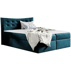 BOXBETT Havana - H3