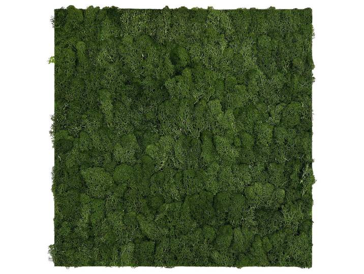 P & B Akustikpaneel Modular Wall System Design Moos, Grün, Naturmaterialien, 52x52x4 cm, Handmade Quality, Tapeten & Wandverkleidungen, Akustikpaneele