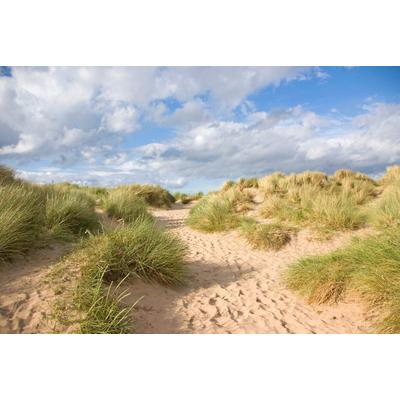Fototapete PAPERMOON "Strand", bunt, B:5m L:2,8m, Vlies, Tapeten