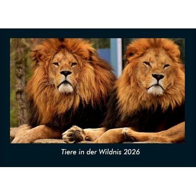 Tiere in der Wildnis 2026 Fotokalender DIN A4