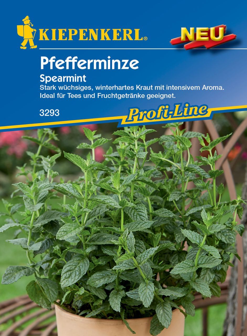 Pflanzen Kiepenkerl Pfefferminze Spearmint