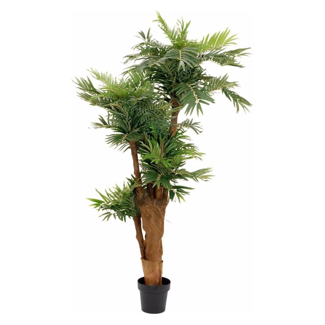 Europalms Areca Palme (170 cm) (82509408)
