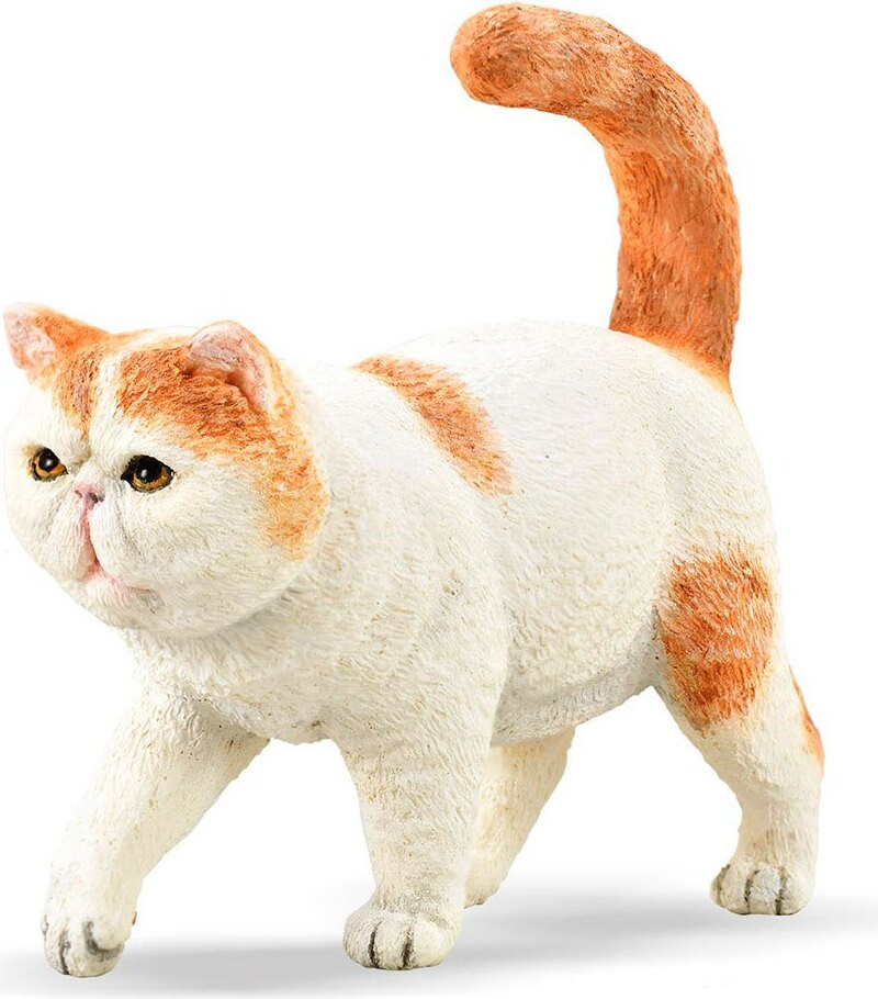 Collecta Exotische Korthaar Kat Figuur voor Kinderen van 3-6 Jaar