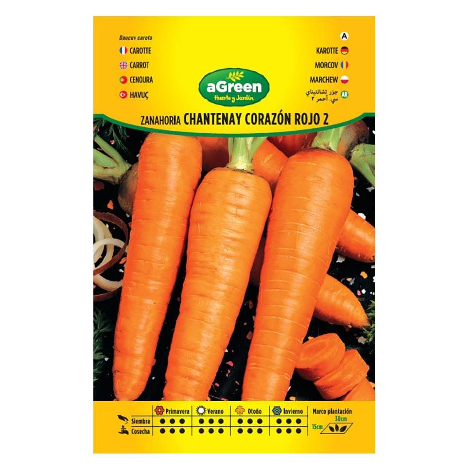 Agreen Envelope with carrot seeds chantenay red heart 2 (Gemüsesamen) (67605812)