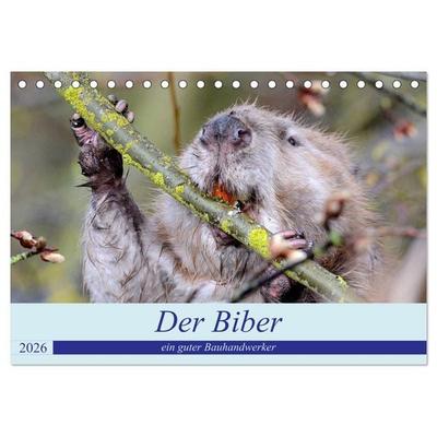 Der Biber, ein guter Bauhandwerker (Tischkalender 2026 DIN A5 quer), CALVENDO Monatskalender