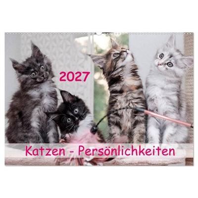 Katzen Persönlichkeiten 2027 (Wandkalender 2027 DIN A2 quer), CALVENDO Monatskalender