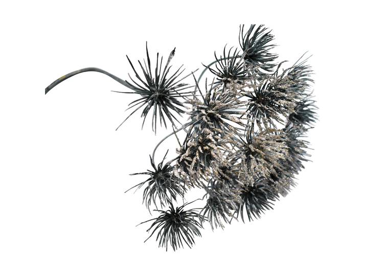 Kunstblume Magic Moments silber Kunststoff H 76 cm - Kunstblume