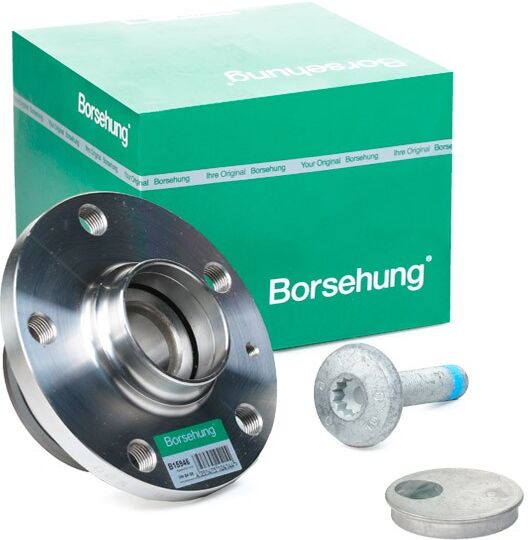 Borsehung B15946 Wheel bearing kit