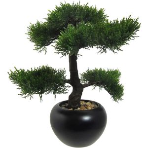 Creativ-green Kunstpflanze Bonsai Zeder, im Topf, Höhe 37 cm