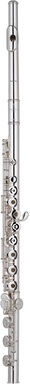 Pearl Flutes Quantz B665RBE-HC Flute
