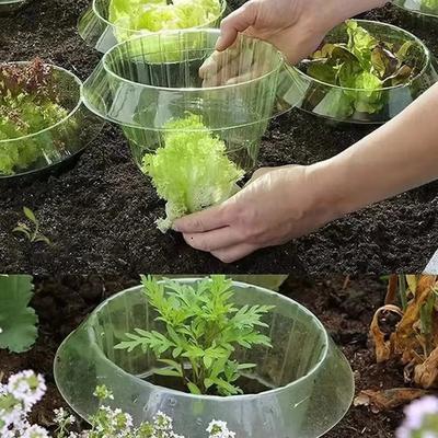 Green Guard Seedling Protection Collars (5PC Set) Green Guard Seedling Protection Collars (5PC Set)