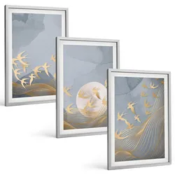 BILDER SET 3er Set - 40x60 cm Silberner Rahmen - Vögel, die am Himmel fliegen