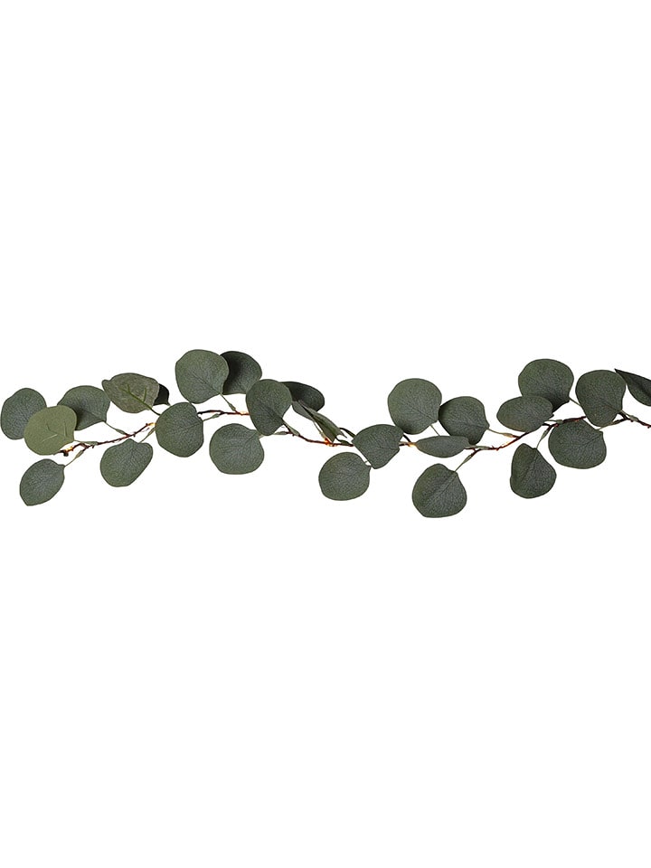 STAR Trading LED-Eukalyptuszweig "Eucalyptus" in Grün - (L)180 cm - onesize
