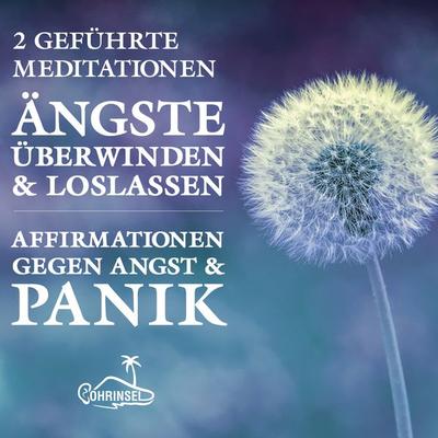 Ängste überwinden und loslassen - Alan Fields, CD, 9783947535248