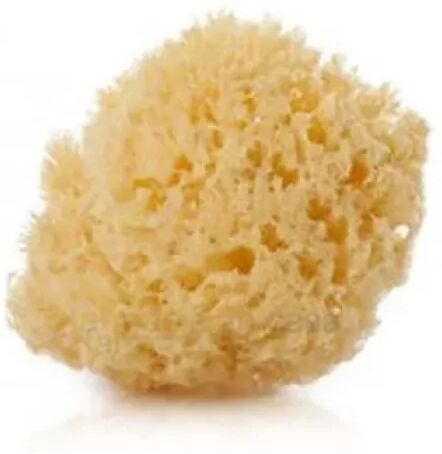 Suavinex Esponja Grande Natural Esponja +0 Meses