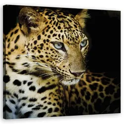 WANDBILD majestätischer leopard