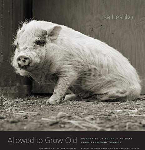 Isa Leshko - Allowed to Grow Old: Portraits of Elderly Animals from Farm Sanctuaries - Preis vom 09.10.2026 07:28:09 h