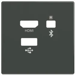 Busch-Jaeger Zentralscheibe Media Connector 8256-81