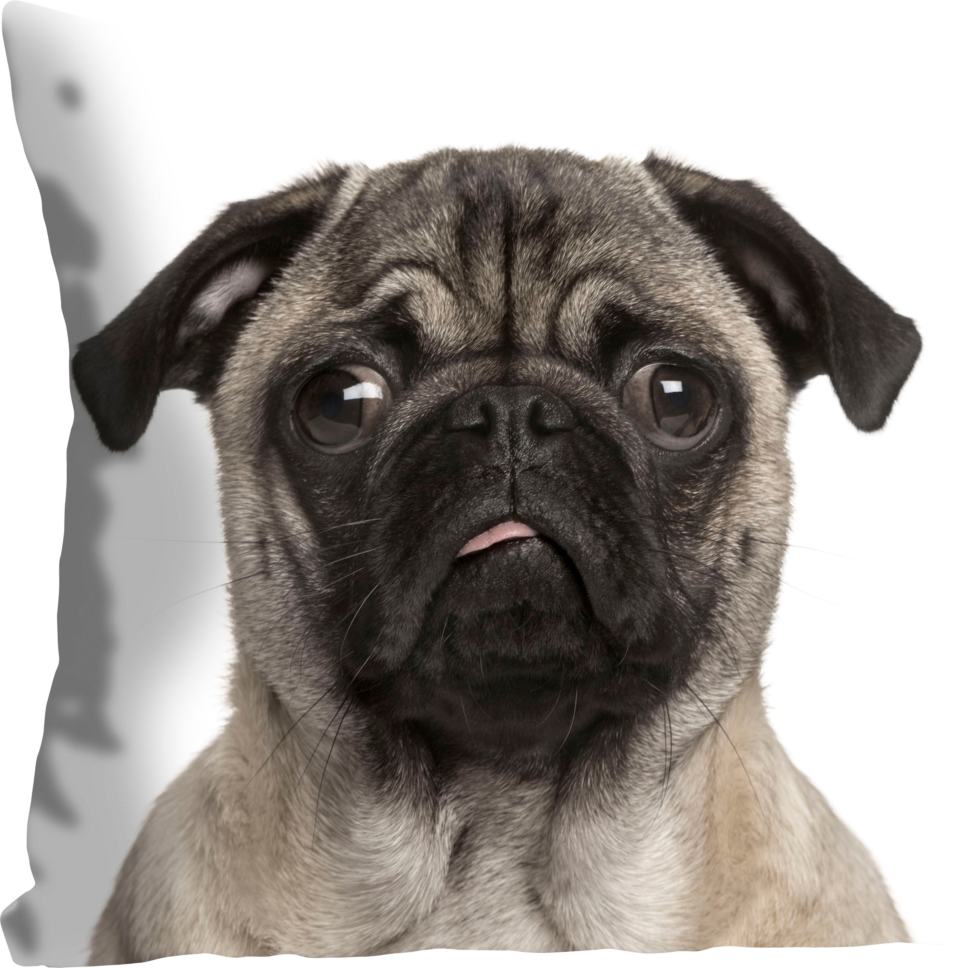 Dekokissen QUEENCE "Mops", schwarz (beige, schwarz, bedruckt), B:40cm L:40cm, Polyester, Dekokissen_Sitzkissen_Kissenhüllen, Dekokissen, mit einem Mops beige, schwarz, bedruckt B/L: 40cm x 40cm, 1 Stk.