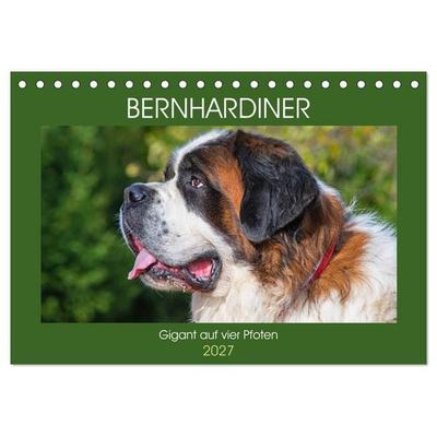 Bernhardiner - Gigant auf vier Pfoten (Tischkalender 2027 DIN A5 quer), CALVENDO Monatskalender