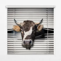 INNENROLLO - Fensterrollo - Rollo - 150x140 cm - Kuh