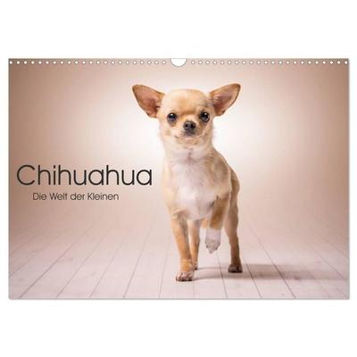 Chihuahua - Die Welt der Kleinen (Wandkalender 2027 DIN A3 quer), CALVENDO Monatskalender