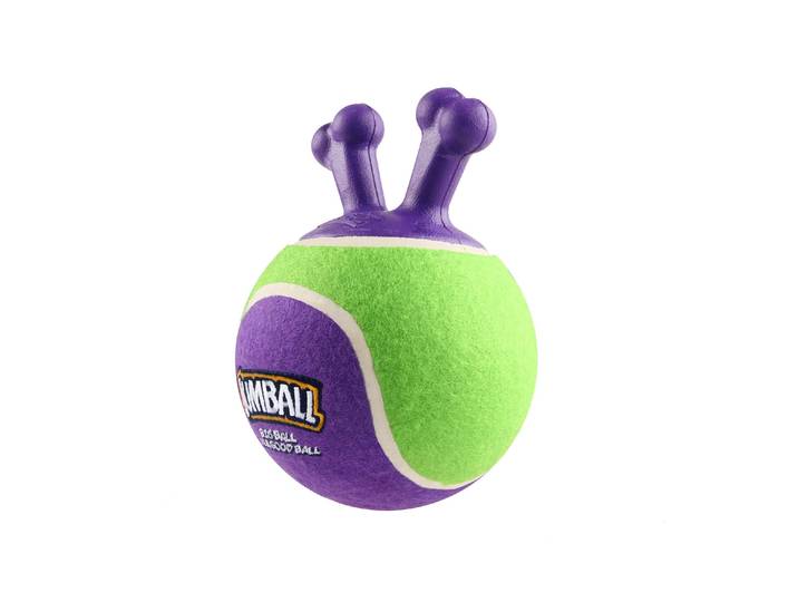 Tier-Beschäftigungsspielzeug GIGWI Jumpball, Tennis Ball, Grün/Violett , bunt (grün, violett), Ø:14cm, Kunststoff, Fummelspielzeuge, Tier-Beschäftigungsspielzeug