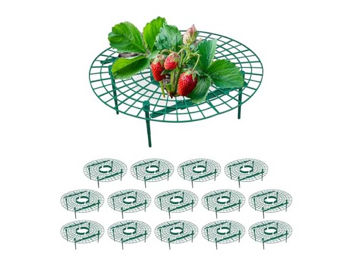 Relaxdays Support pour Fraises\, Lot de 15\, Protection Contre pourriture\, limaces\, Grille pour fraisier\, Plastique\, Vert