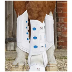 Premier Equine, Pferdebeinschutz