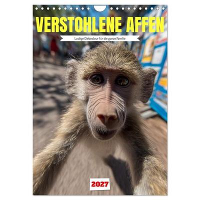 Verstohlene Affen - Lustige Diebestour für die ganze Familie (Wandkalender 2027 DIN A4 hoch), CALVENDO Monatskalender