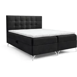 BOXBETT Candela Premium