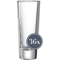 SCHNAPSGLÄSER Skol transparent 65 ml 36er Set