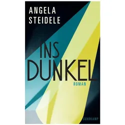 Ins Dunkel, Belletristik von Angela Steidele