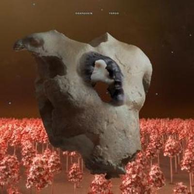 Torso - Soap & Skin, CD