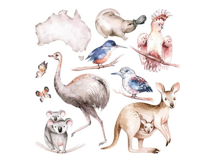 Wallfluent Wandaufkleber 100x126cm - Tiere Australiens, Mehrfarbig, Kunststoff, Rechteckig, 100x126x0.1 cm, Tapeten & Wandverkleidungen, Wandtattoos & Sticker, Wandtattoos