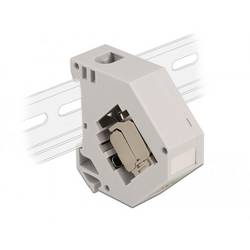 Delock 86014 Hutschienenadapter Keystone CAT 6a 1 St.