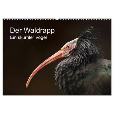 Der Waldrapp - Ein skurriler Vogel (Wandkalender 2027 DIN A2 quer), CALVENDO Monatskalender