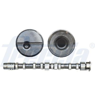 Freccia Nockenwelle [Hersteller-Nr. CM05-2197] für Ford
