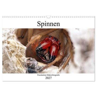 Faszination Makrofotografie: Spinnen (Wandkalender 2027 DIN A3 quer), CALVENDO Monatskalender