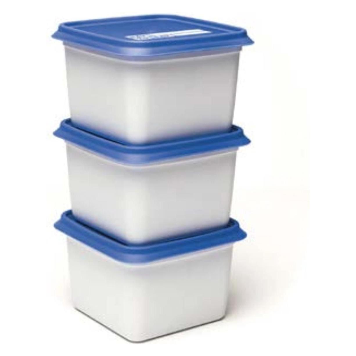 Day To Day Gefrierbox-Set 3x750ml Alaska (0.75 l) (DAY003)