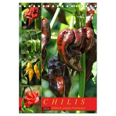 Chilis - Höllisch scharfe Früchtchen (Tischkalender 2026 DIN A5 hoch), CALVENDO Monatskalender