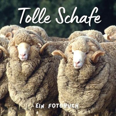 Tolle Schafe, Taschenbuch von Bibi Hübsch, 27amigos, 978-3-7505-1769-1