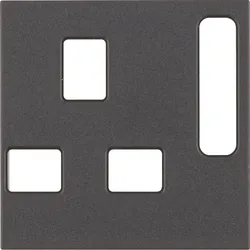 Berker Zentralstück British Std. 3313071606
